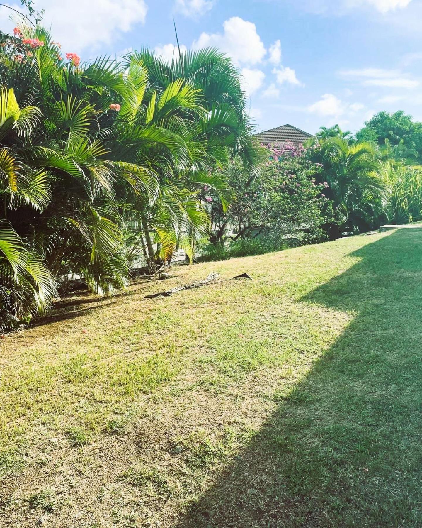 Villa Caraibes Sainte-Luce Kültér fotó