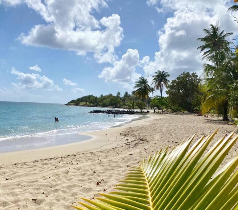 Villa Caraibes Sainte-Luce Kültér fotó